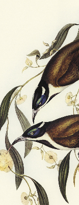 Store intérieur Oiseaux sur un arbre