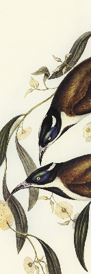 Store intérieur Oiseaux sur un arbre