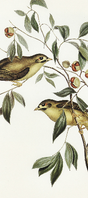 Store enrouleur Oiseaux sur un arbre