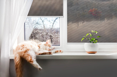 Store enrouleur Arbres dans le brouillard