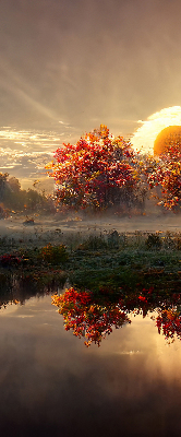 Store intérieur Coucher de soleil derrière les arbres