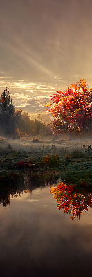 Store intérieur Coucher de soleil derrière les arbres