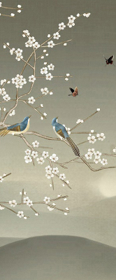 Store intérieur Oiseaux sur une branche