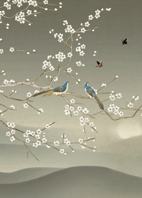 Store intérieur Oiseaux sur une branche