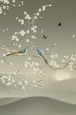 Store intérieur Oiseaux sur une branche