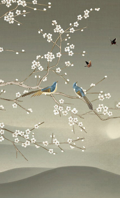 Store intérieur Oiseaux sur une branche