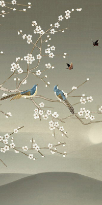 Store intérieur Oiseaux sur une branche