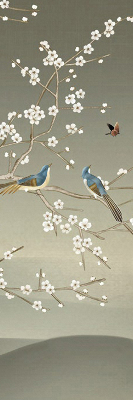 Store intérieur Oiseaux sur une branche