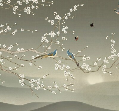 Store intérieur Oiseaux sur une branche