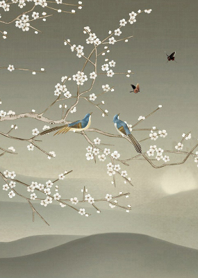 Store intérieur Oiseaux sur une branche