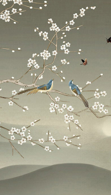 Store intérieur Oiseaux sur une branche