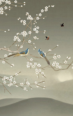 Store intérieur Oiseaux sur une branche