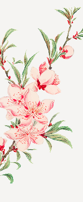 Store enrouleur Fleur rose