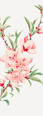 Store enrouleur Fleur rose