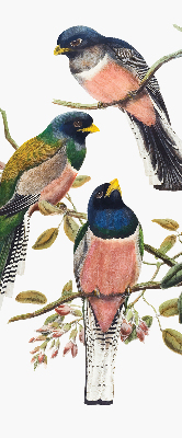 Store intérieur Oiseaux sur les branches