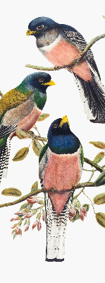 Store intérieur Oiseaux sur les branches