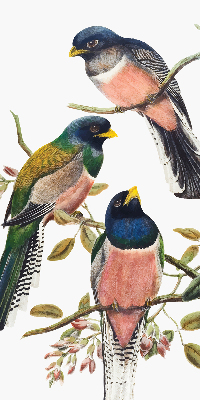 Store intérieur Oiseaux sur les branches