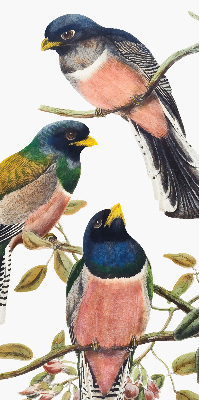 Store intérieur Oiseaux sur les branches