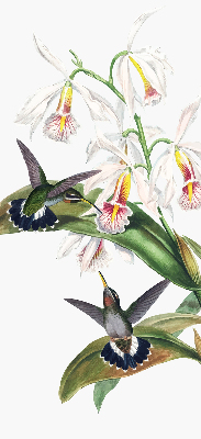 Store enrouleur Oiseaux sur une fleur