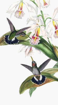 Store enrouleur Oiseaux sur une fleur