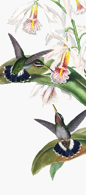 Store enrouleur Oiseaux sur une fleur