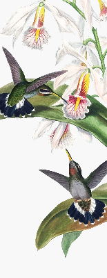 Store enrouleur Oiseaux sur une fleur