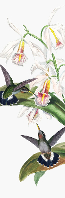 Store enrouleur Oiseaux sur une fleur