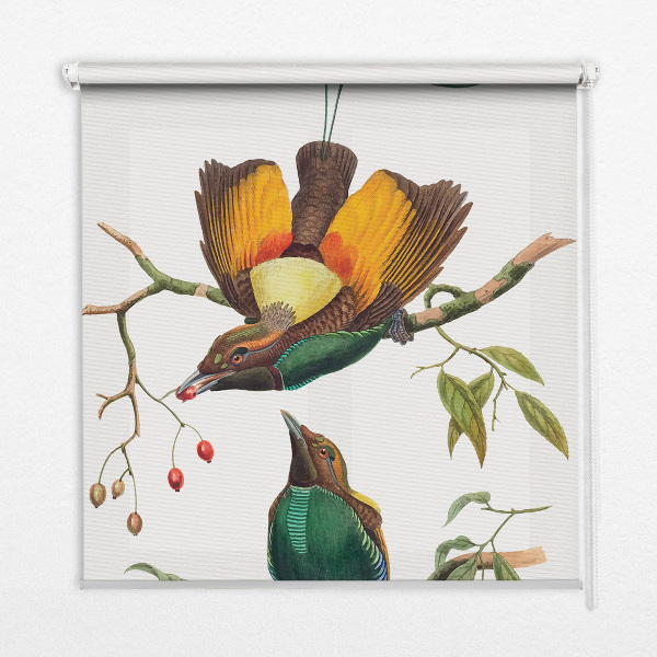 Store intérieur Oiseaux sur une branche