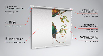 Store intérieur Oiseaux sur une branche