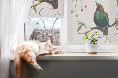 Store intérieur Oiseaux sur une branche