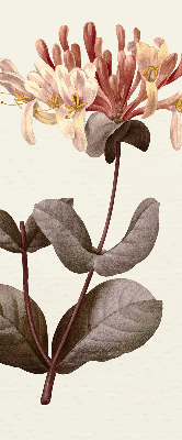 Store enrouleur Fleur qui tombe
