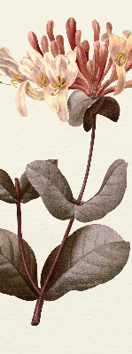 Store enrouleur Fleur qui tombe