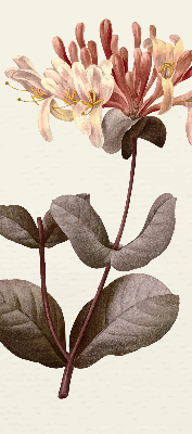 Store enrouleur Fleur qui tombe