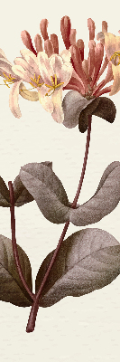 Store enrouleur Fleur qui tombe