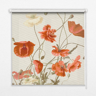 Store intérieur Coquelicots