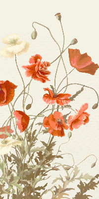 Store intérieur Coquelicots