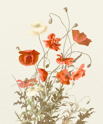 Store intérieur Coquelicots