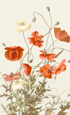 Store intérieur Coquelicots