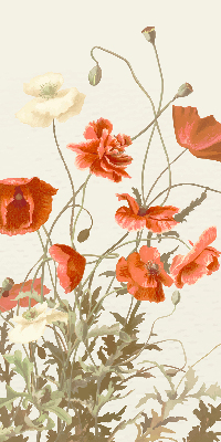 Store intérieur Coquelicots