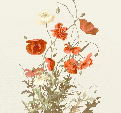 Store intérieur Coquelicots