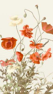 Store intérieur Coquelicots