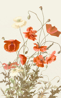 Store intérieur Coquelicots