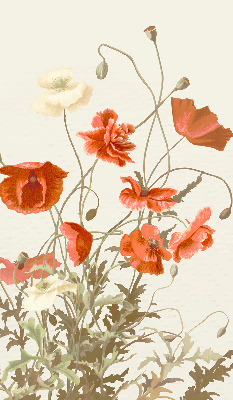 Store intérieur Coquelicots