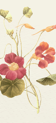 Store enrouleur Fleur