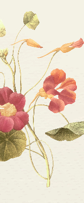 Store enrouleur Fleur