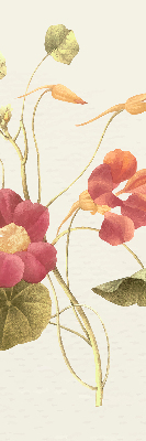 Store enrouleur Fleur