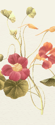 Store enrouleur Fleur