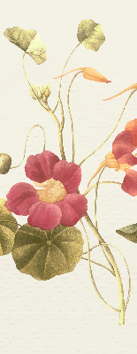 Store enrouleur Fleur