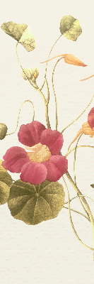 Store enrouleur Fleur