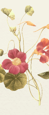 Store enrouleur Fleur